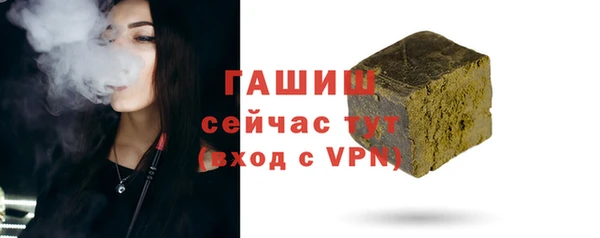 мдпв Бородино