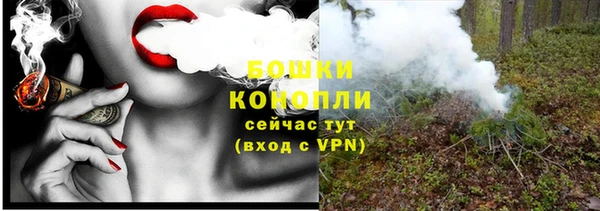 мдпв Бородино