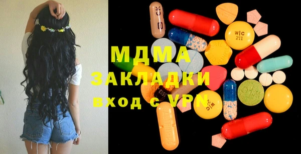 мдпв Бородино